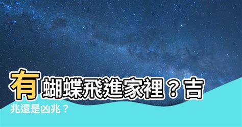 家裡出現蝴蝶|【家裡有蝴蝶】《家裡有蝴蝶飛舞？是吉是兇？圖文解析答案》